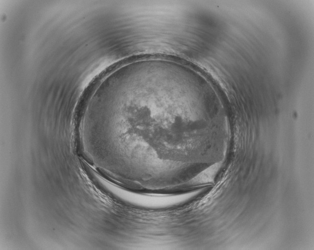X0000088060975200705111329