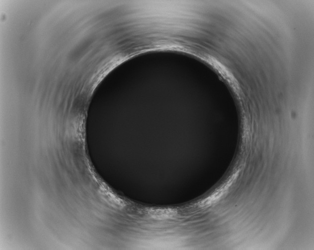 X0000088061001200705111328