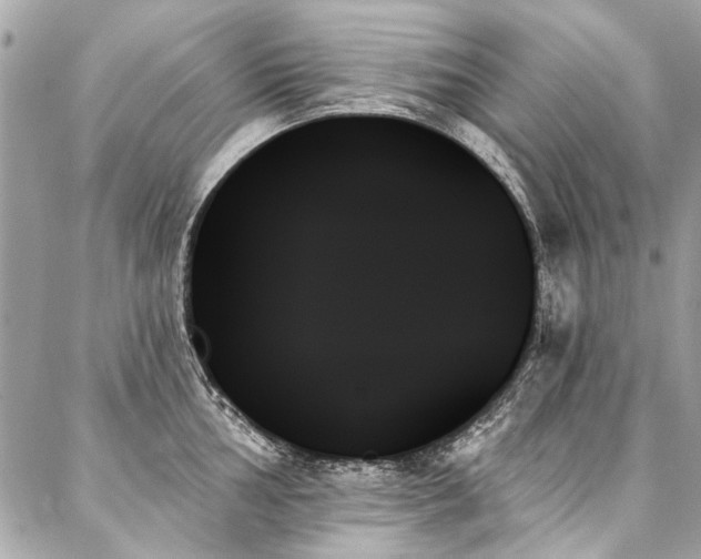 X0000088061002200705111328