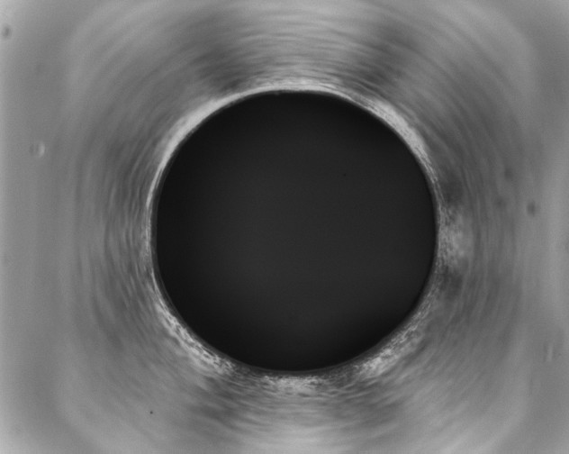 X0000088061004200705111328