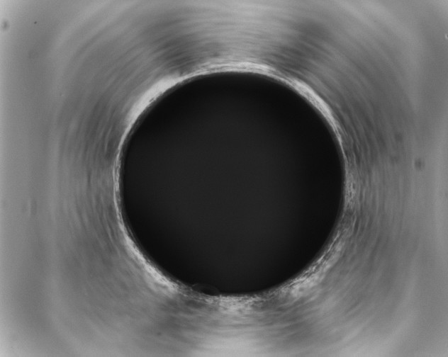 X0000088061005200705111328