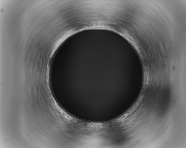 X0000088061006200705111328