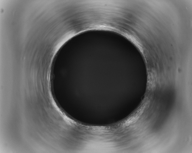 X0000088061007200705111328