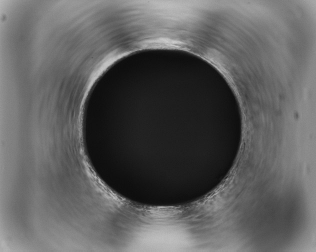 X0000088061008200705111328