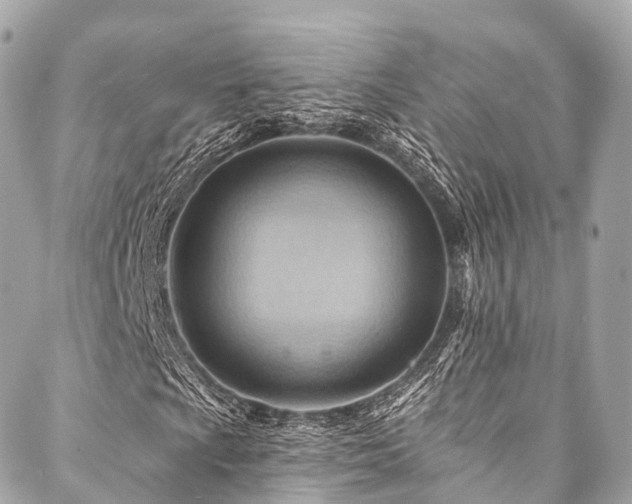 X0000088061009200705111327