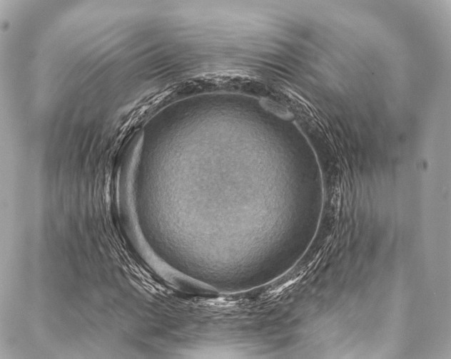 X0000088061014200705111327