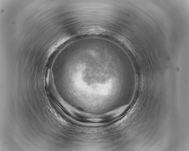 X0000088061018200705111327