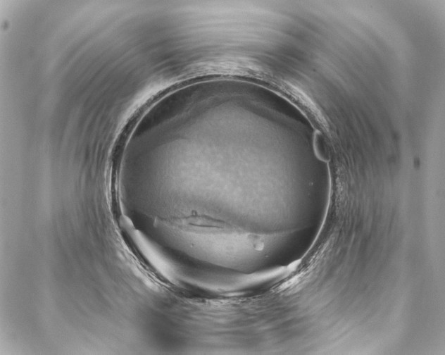 X0000088061035200705111328