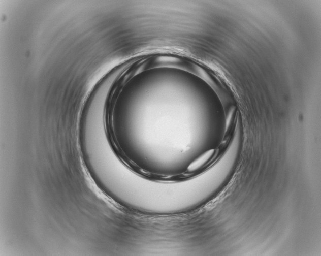 X0000088061038200705111328