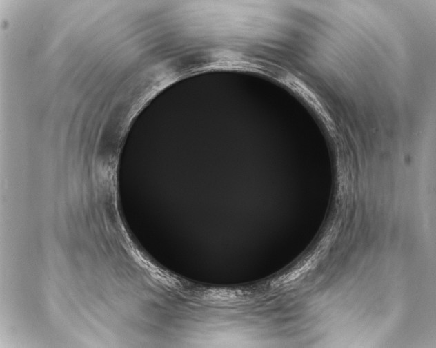 X0000088061049200705111328
