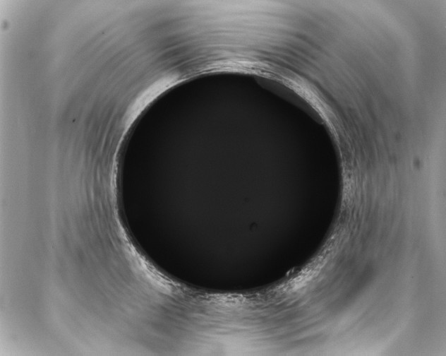 X0000088061050200705111328