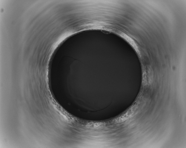 X0000088061051200705111328