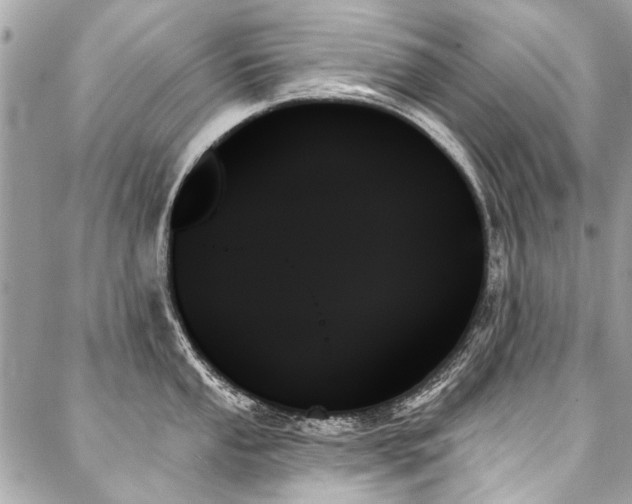 X0000088061053200705111328