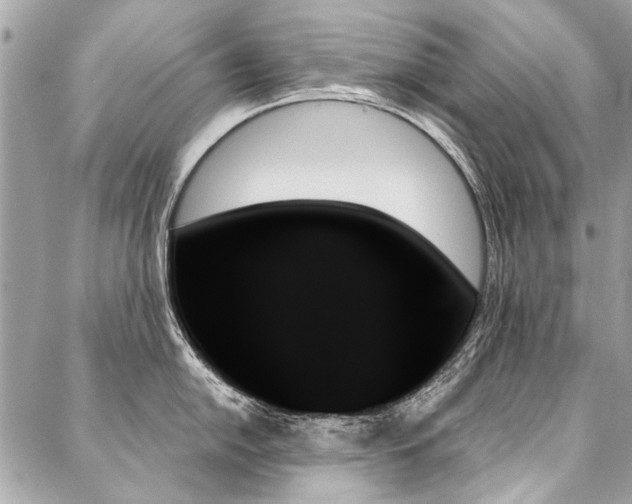 X0000088061054200705111328