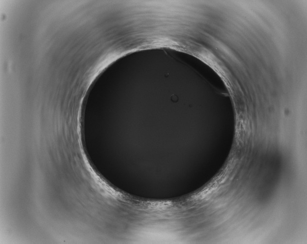 X0000088061055200705111328