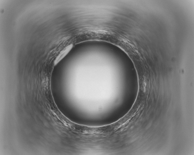 X0000088061061200705111327