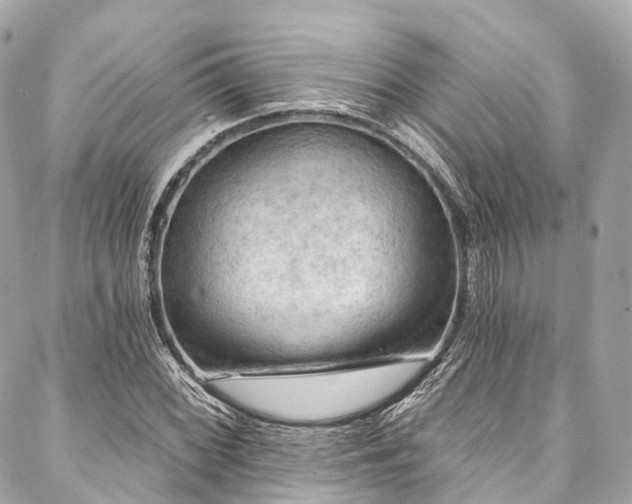 X0000088061068200705111327