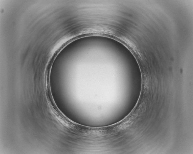 X0000088061078200705111327
