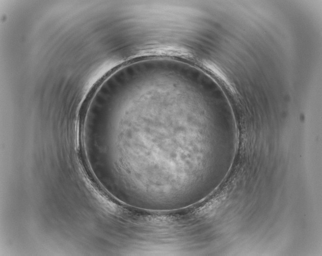 X0000088061079200705111327