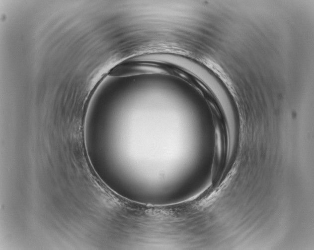 X0000088061089200705111327