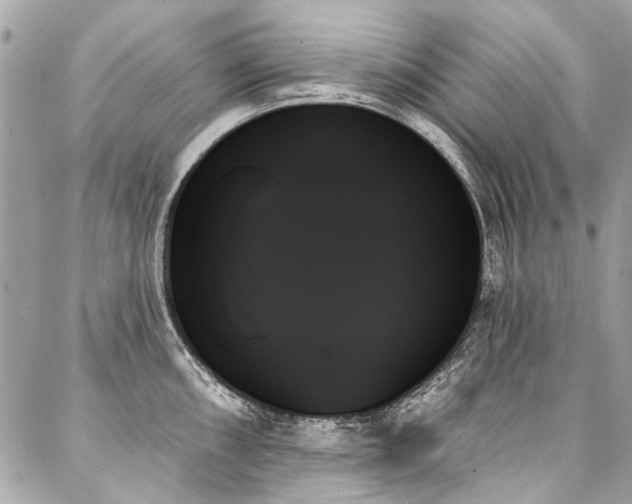 X0000088061098200705111327