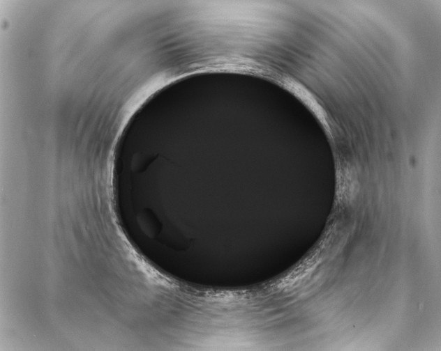 X0000088061099200705111327