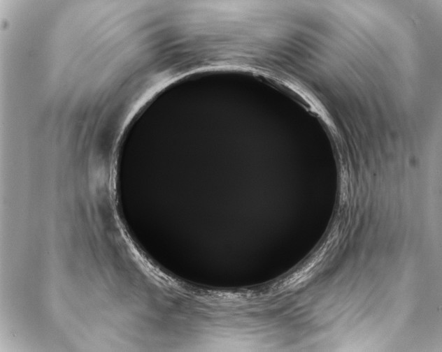 X0000088061101200705111327