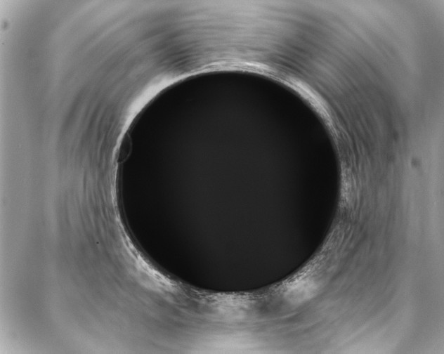X0000088061102200705111327