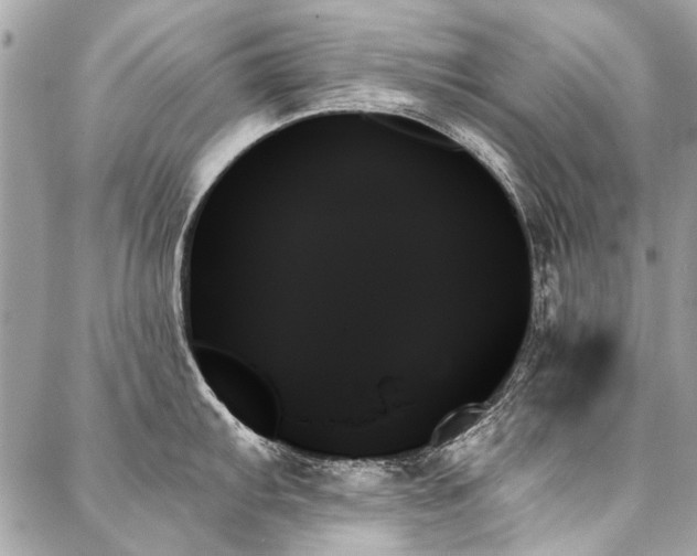X0000088061103200705111327