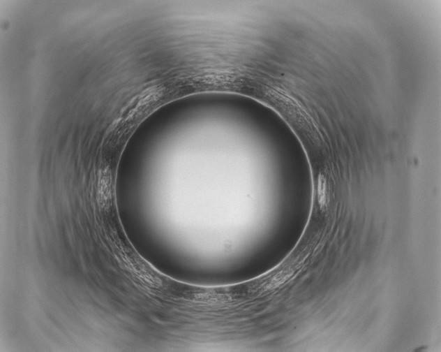 X0000088061107200705111326