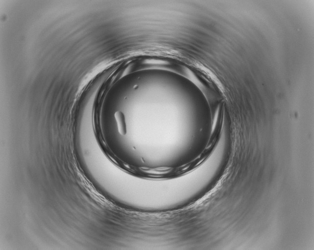 X0000088061114200705111326