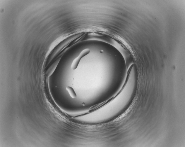 X0000088061122200705111326