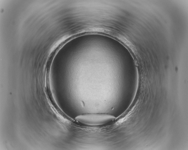 X0000088061127200705111326