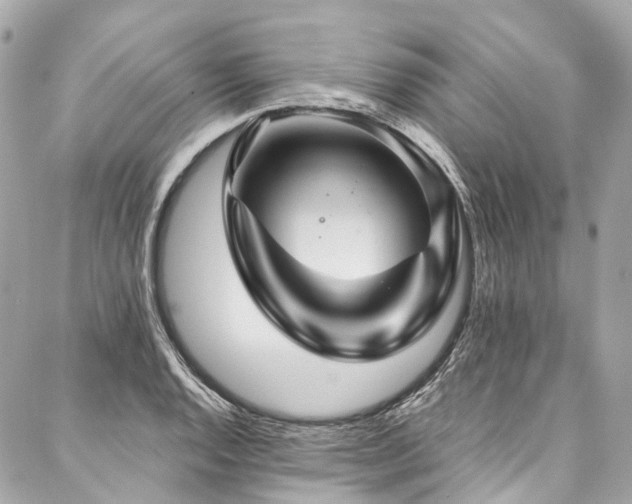 X0000088061128200705111326