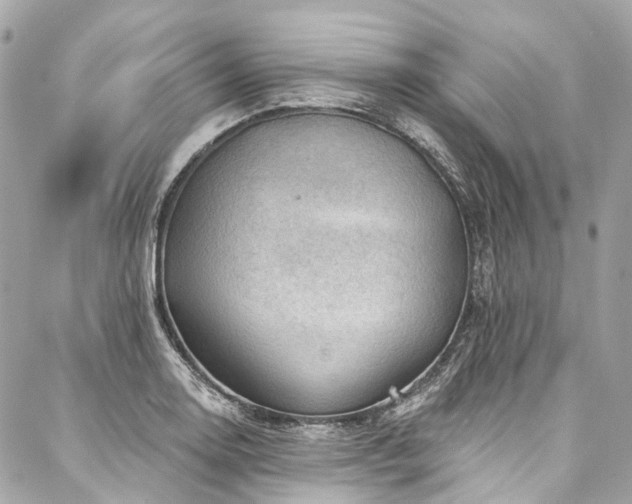 X0000088061130200705111326