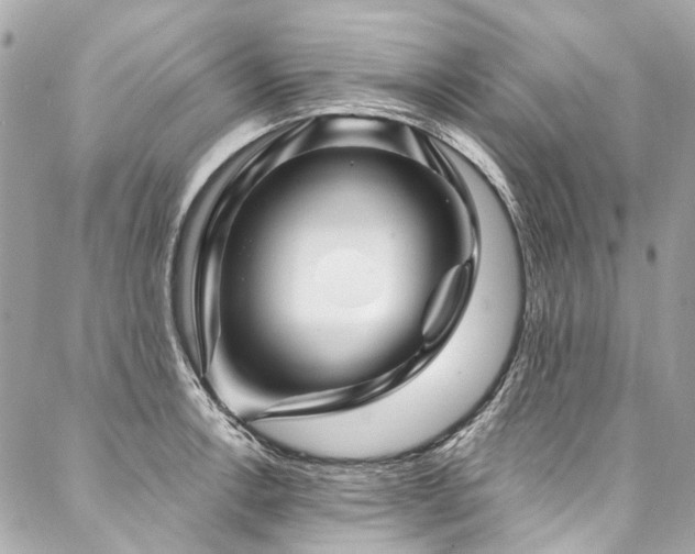 X0000088061138200705111326