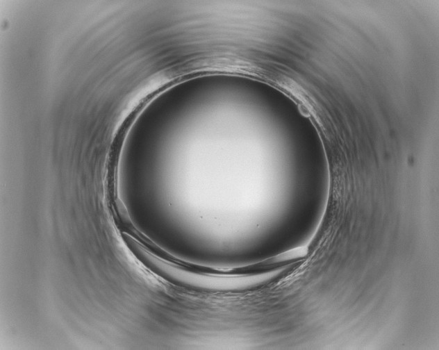 X0000088061139200705111326
