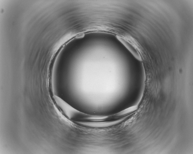 X0000088061143200705111326