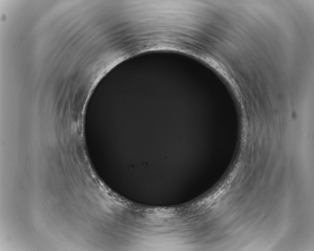 X0000088061145200705111326