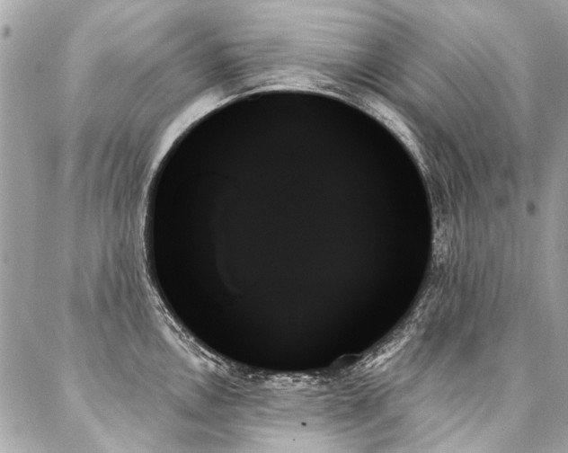 X0000088061146200705111326