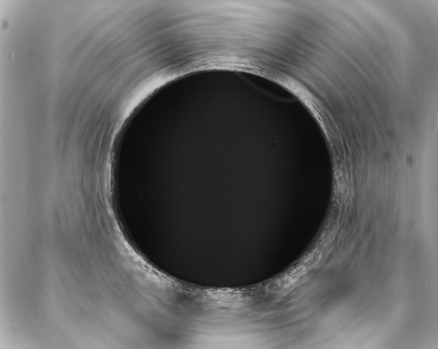 X0000088061147200705111326