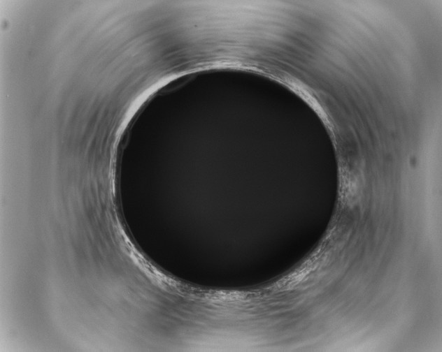 X0000088061148200705111326