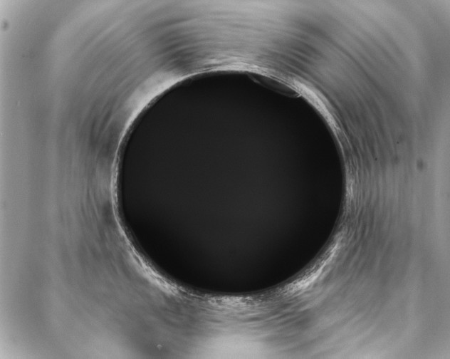 X0000088061149200705111326