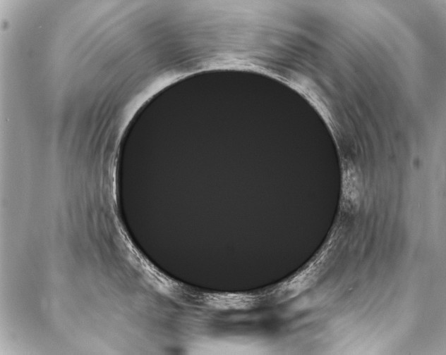 X0000088061150200705111327