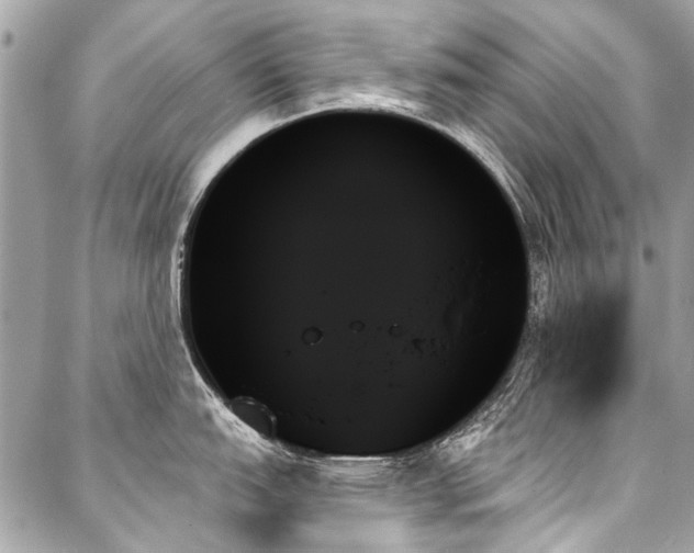 X0000088061151200705111327