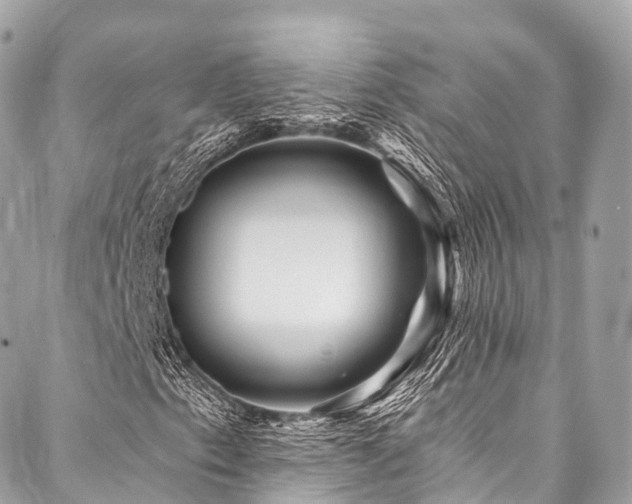 X0000088061153200705111326