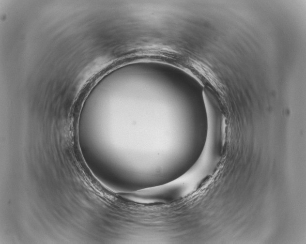 X0000088061164200705111326
