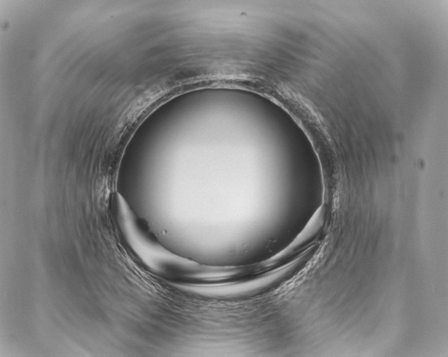 X0000088061169200705111325