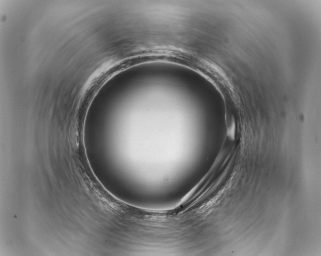 X0000088061172200705111325