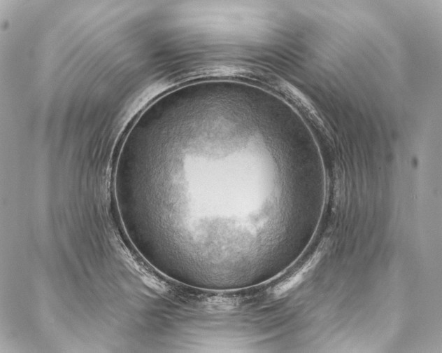 X0000088061178200705111325
